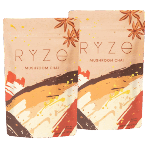 mushroom chai starter kit: 40 servings